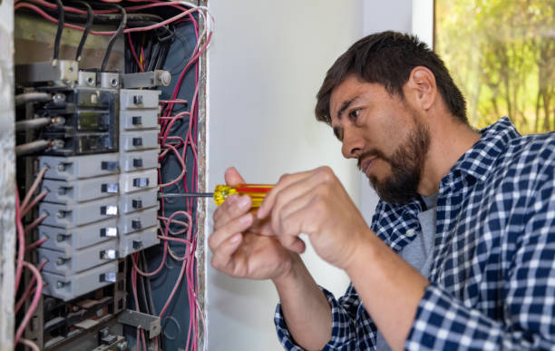 Best Electric Panel Repair  in Princeton Meadows, NJ